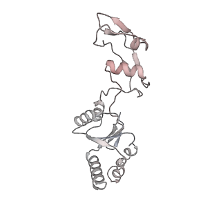 4737_6r6p_s_v1-0
Structure of XBP1u-paused ribosome nascent chain complex (rotated state)