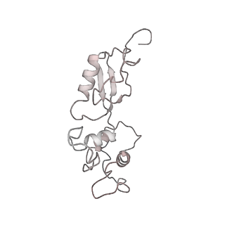 4737_6r6p_t_v1-0
Structure of XBP1u-paused ribosome nascent chain complex (rotated state)