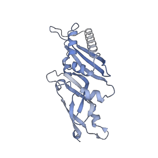 4737_6r6p_u_v1-0
Structure of XBP1u-paused ribosome nascent chain complex (rotated state)