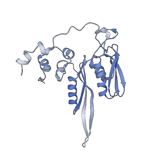 4737_6r6p_v_v1-0
Structure of XBP1u-paused ribosome nascent chain complex (rotated state)