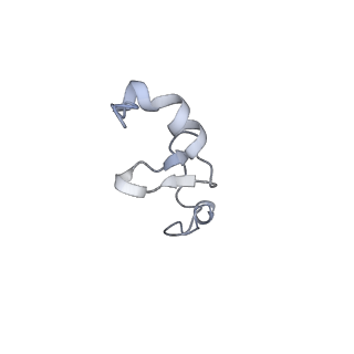 4737_6r6p_w_v1-0
Structure of XBP1u-paused ribosome nascent chain complex (rotated state)