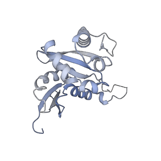 4737_6r6p_y_v1-0
Structure of XBP1u-paused ribosome nascent chain complex (rotated state)