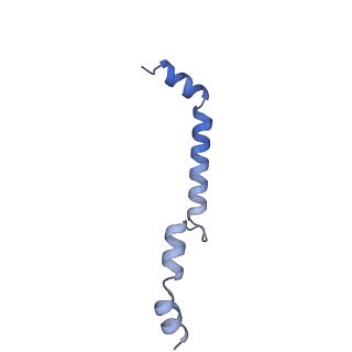 24290_7r72_8_v1-3
State E1 nucleolar 60S ribosome biogenesis intermediate - Spb4 local model