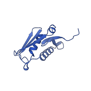 24290_7r72_U_v1-3
State E1 nucleolar 60S ribosome biogenesis intermediate - Spb4 local model