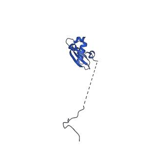 24290_7r72_X_v1-3
State E1 nucleolar 60S ribosome biogenesis intermediate - Spb4 local model