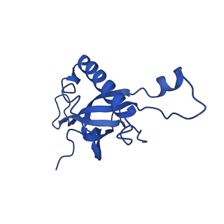 24290_7r72_Z_v1-3
State E1 nucleolar 60S ribosome biogenesis intermediate - Spb4 local model