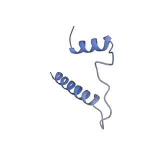 24290_7r72_b_v1-3
State E1 nucleolar 60S ribosome biogenesis intermediate - Spb4 local model