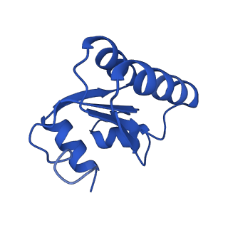 24290_7r72_c_v1-3
State E1 nucleolar 60S ribosome biogenesis intermediate - Spb4 local model