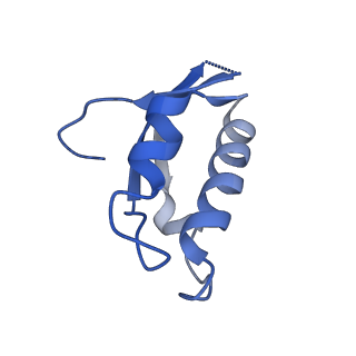 24290_7r72_d_v1-3
State E1 nucleolar 60S ribosome biogenesis intermediate - Spb4 local model