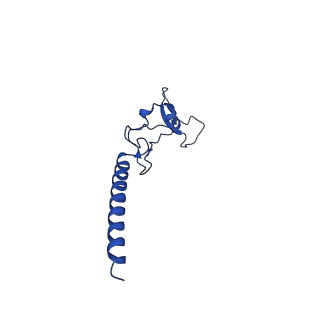 24290_7r72_g_v1-3
State E1 nucleolar 60S ribosome biogenesis intermediate - Spb4 local model
