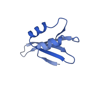 24290_7r72_k_v1-3
State E1 nucleolar 60S ribosome biogenesis intermediate - Spb4 local model