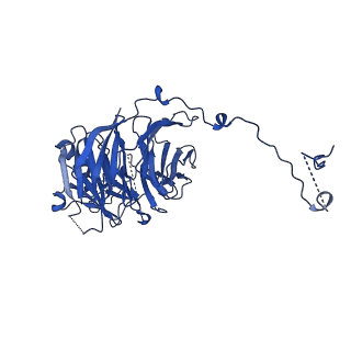 24290_7r72_m_v1-3
State E1 nucleolar 60S ribosome biogenesis intermediate - Spb4 local model