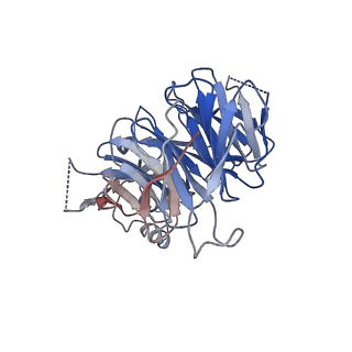 24290_7r72_p_v1-3
State E1 nucleolar 60S ribosome biogenesis intermediate - Spb4 local model