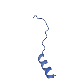 24290_7r72_t_v1-3
State E1 nucleolar 60S ribosome biogenesis intermediate - Spb4 local model