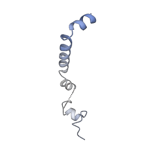 24290_7r72_u_v1-3
State E1 nucleolar 60S ribosome biogenesis intermediate - Spb4 local model