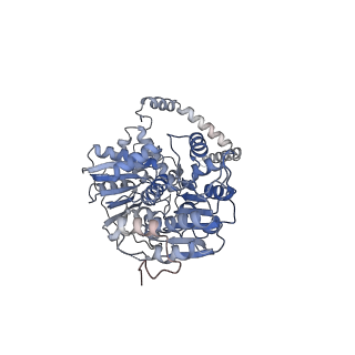 24290_7r72_x_v1-3
State E1 nucleolar 60S ribosome biogenesis intermediate - Spb4 local model