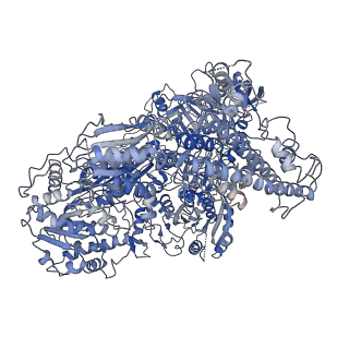 24292_7r76_A_v1-2
Cryo-EM structure of DNMT5 in apo state