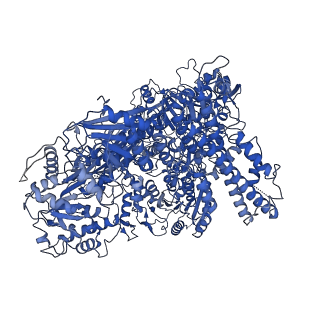 24294_7r77_A_v1-2
Cryo-EM structure of DNMT5 binary complex with hemimethylated DNA