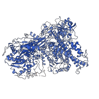 24295_7r78_A_v1-2
cryo-EM structure of DNMT5 quaternary complex with hemimethylated DNA, AMP-PNP and SAH