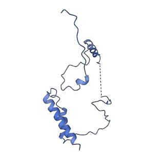 24296_7r7a_7_v1-0
State E1 nucleolar 60S ribosome biogenesis intermediate - Composite model