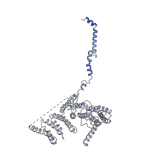 24296_7r7a_8_v1-0
State E1 nucleolar 60S ribosome biogenesis intermediate - Composite model
