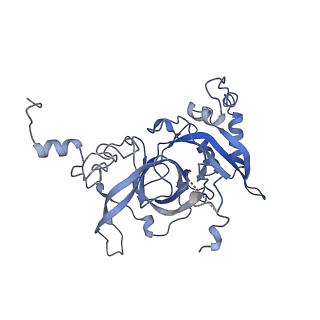 24296_7r7a_B_v1-0
State E1 nucleolar 60S ribosome biogenesis intermediate - Composite model