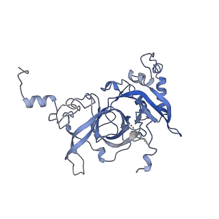 24296_7r7a_B_v2-2
State E1 nucleolar 60S ribosome biogenesis intermediate - Composite model