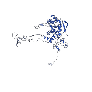 24296_7r7a_C_v1-0
State E1 nucleolar 60S ribosome biogenesis intermediate - Composite model