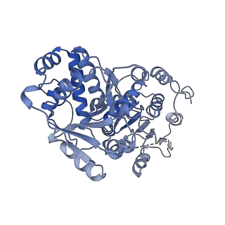 24296_7r7a_D_v1-0
State E1 nucleolar 60S ribosome biogenesis intermediate - Composite model