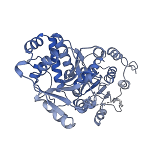 24296_7r7a_D_v2-2
State E1 nucleolar 60S ribosome biogenesis intermediate - Composite model