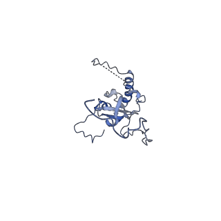 24296_7r7a_E_v1-0
State E1 nucleolar 60S ribosome biogenesis intermediate - Composite model