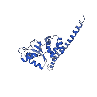 24296_7r7a_F_v1-0
State E1 nucleolar 60S ribosome biogenesis intermediate - Composite model