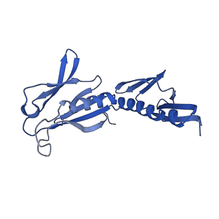 24296_7r7a_H_v1-0
State E1 nucleolar 60S ribosome biogenesis intermediate - Composite model