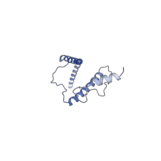 24296_7r7a_J_v1-0
State E1 nucleolar 60S ribosome biogenesis intermediate - Composite model