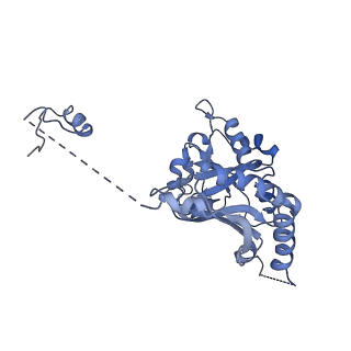 24296_7r7a_K_v1-0
State E1 nucleolar 60S ribosome biogenesis intermediate - Composite model