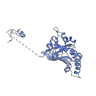 24296_7r7a_K_v2-2
State E1 nucleolar 60S ribosome biogenesis intermediate - Composite model