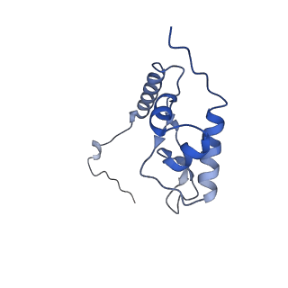 24296_7r7a_L_v1-0
State E1 nucleolar 60S ribosome biogenesis intermediate - Composite model