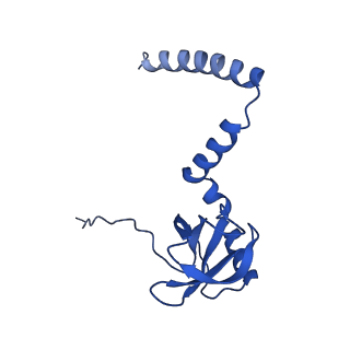 24296_7r7a_M_v1-0
State E1 nucleolar 60S ribosome biogenesis intermediate - Composite model