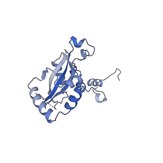 24296_7r7a_N_v1-0
State E1 nucleolar 60S ribosome biogenesis intermediate - Composite model