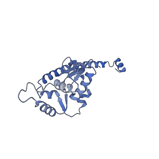 24296_7r7a_O_v1-0
State E1 nucleolar 60S ribosome biogenesis intermediate - Composite model