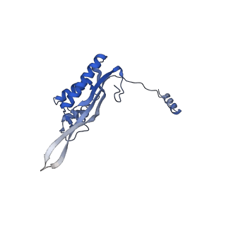 24296_7r7a_P_v1-0
State E1 nucleolar 60S ribosome biogenesis intermediate - Composite model