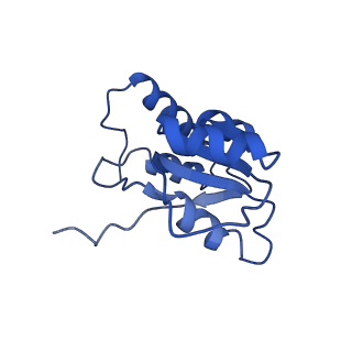 24296_7r7a_Q_v1-0
State E1 nucleolar 60S ribosome biogenesis intermediate - Composite model