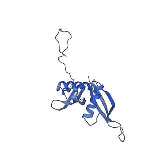 24296_7r7a_S_v1-0
State E1 nucleolar 60S ribosome biogenesis intermediate - Composite model