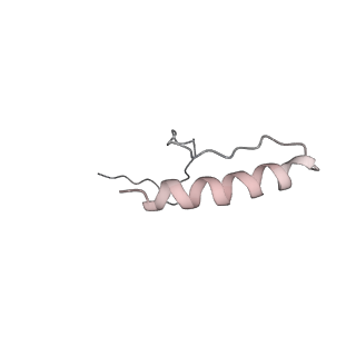 24296_7r7a_T_v1-0
State E1 nucleolar 60S ribosome biogenesis intermediate - Composite model