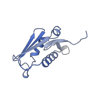 24296_7r7a_U_v1-0
State E1 nucleolar 60S ribosome biogenesis intermediate - Composite model