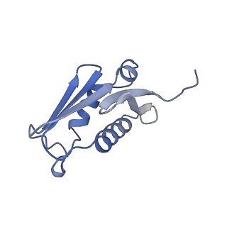 24296_7r7a_U_v2-2
State E1 nucleolar 60S ribosome biogenesis intermediate - Composite model