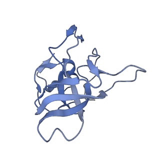 24296_7r7a_V_v1-0
State E1 nucleolar 60S ribosome biogenesis intermediate - Composite model