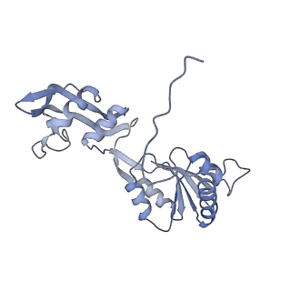 24296_7r7a_W_v1-0
State E1 nucleolar 60S ribosome biogenesis intermediate - Composite model