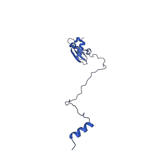 24296_7r7a_X_v1-0
State E1 nucleolar 60S ribosome biogenesis intermediate - Composite model