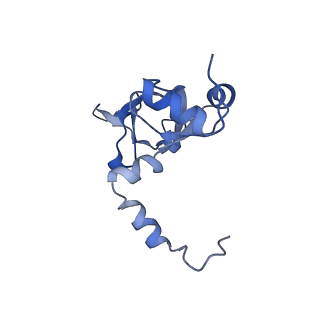 24296_7r7a_Y_v1-0
State E1 nucleolar 60S ribosome biogenesis intermediate - Composite model